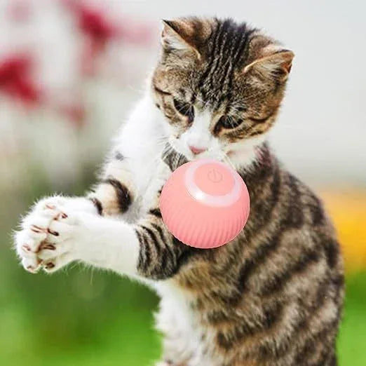 SmartBall - Bola Inteligente Automática para Pet- Carregamento USB