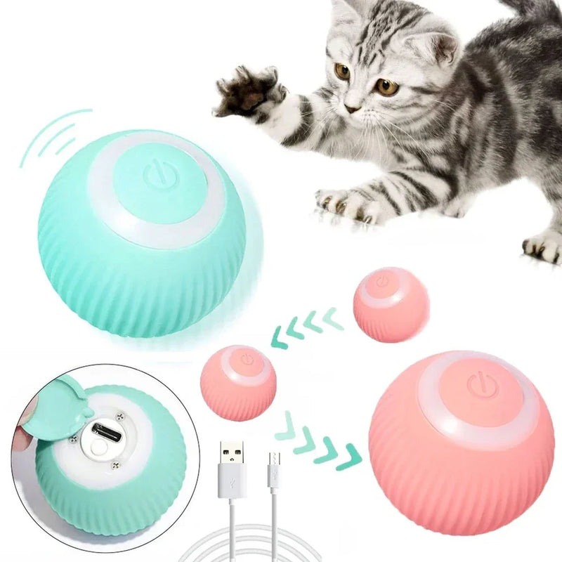 SmartBall - Bola Inteligente Automática para Pet- Carregamento USB