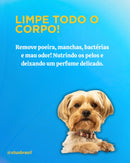 Luva Higiênica Antibacteriana Descartável