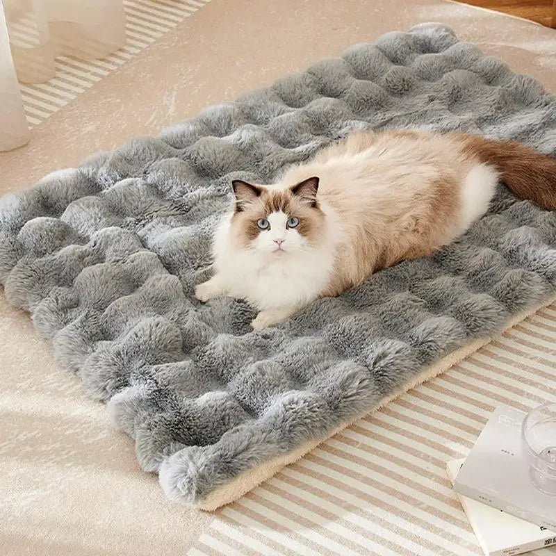 Tapete Cama para gatos