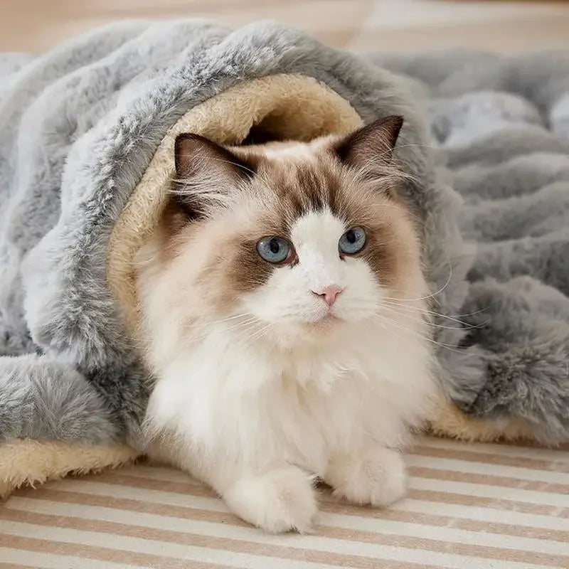 Tapete Cama para gatos